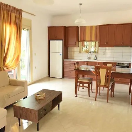 Apartment Irini Vryses Exterior photo