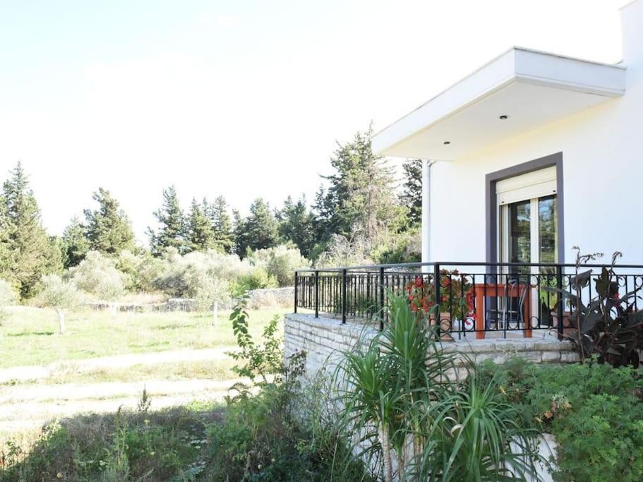 Apartment Irini *